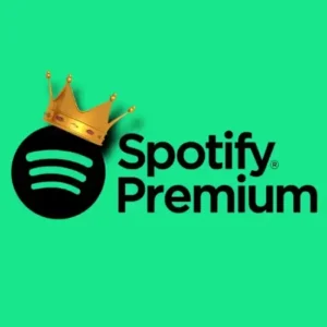 SPOTIFY 3 MESES